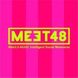 meet48