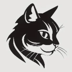 Meow on Zora