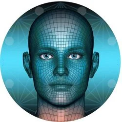 Metaverse Face