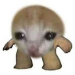 mini (MINI)