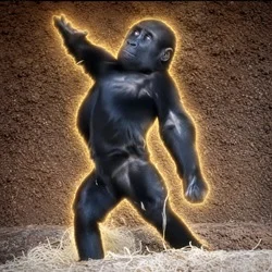 Mobi The Gorilla