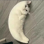 Mooncat (MOONCAT)