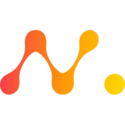 NetMind Token (NMT)