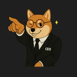 NEW X CEO IS BACK