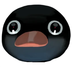 Noot Noot