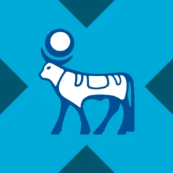 Novo Nordisk xStock (NVOX)