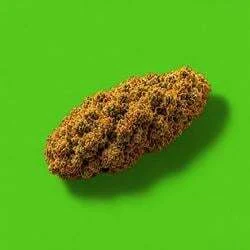 Nuggies