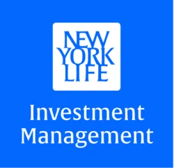 NYLIM US High Yield Bond Fund
