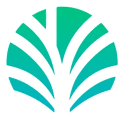 Palm Economy (PALM)
