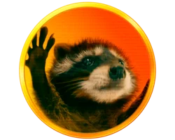 Pedro the Raccoon