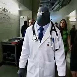 Pigeon Doctor
