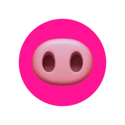Piggy