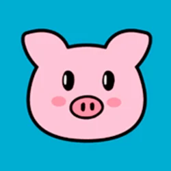 PiggyCoinBSC