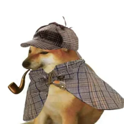 pipedog