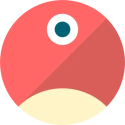 pNetwork