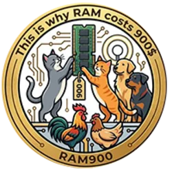 RAM900