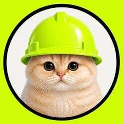 Crypto Cycle Phases 68 RobinhoodCat (RHCAT) logo