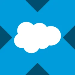 Salesforce xStock (CRMX)