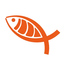 Sashimi
