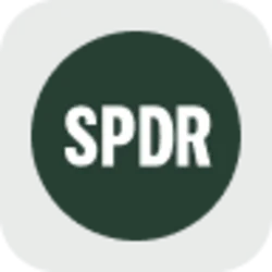 SPDR S&P 500 ETF rStock (RSPY) logo