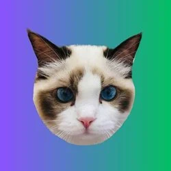 Taylor Swift’s Cat Benji