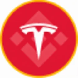 Tesla (bStocks Tokenized Stock)