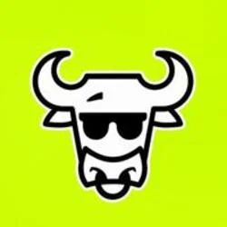 The Bull