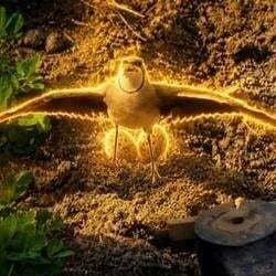 The Fearless Guardian
