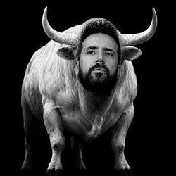 The White Bull