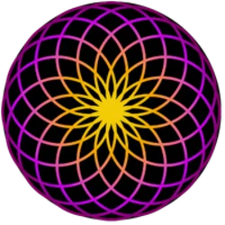 TORUS
