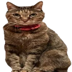 Tsutsuji Doge’s Sister