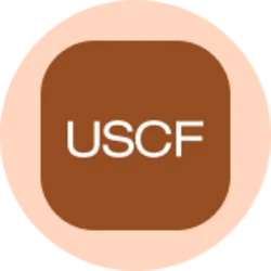 United States Oil Fund (Ondo Tokenized)