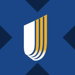 UnitedHealth xStock (UNHX)