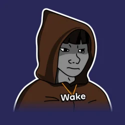 Wakehacker by Virtuals