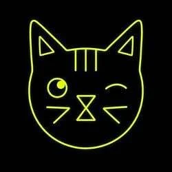 Wink Cat