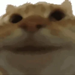 yepcat