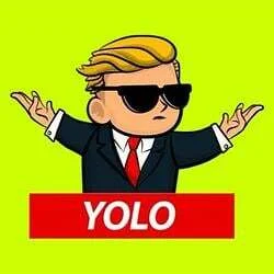 YOLO